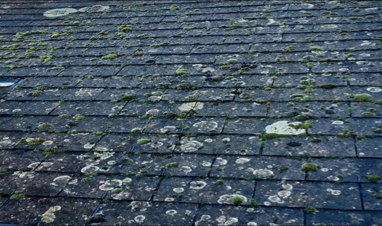 Ardoise amiant&eacute;es