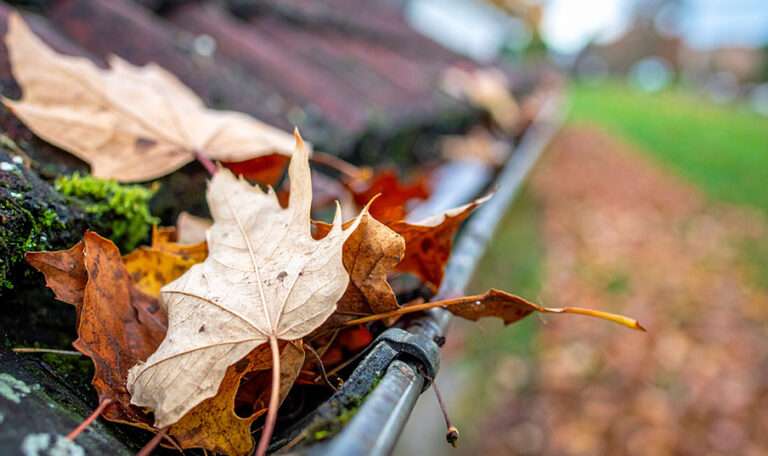 Entretien gouttières