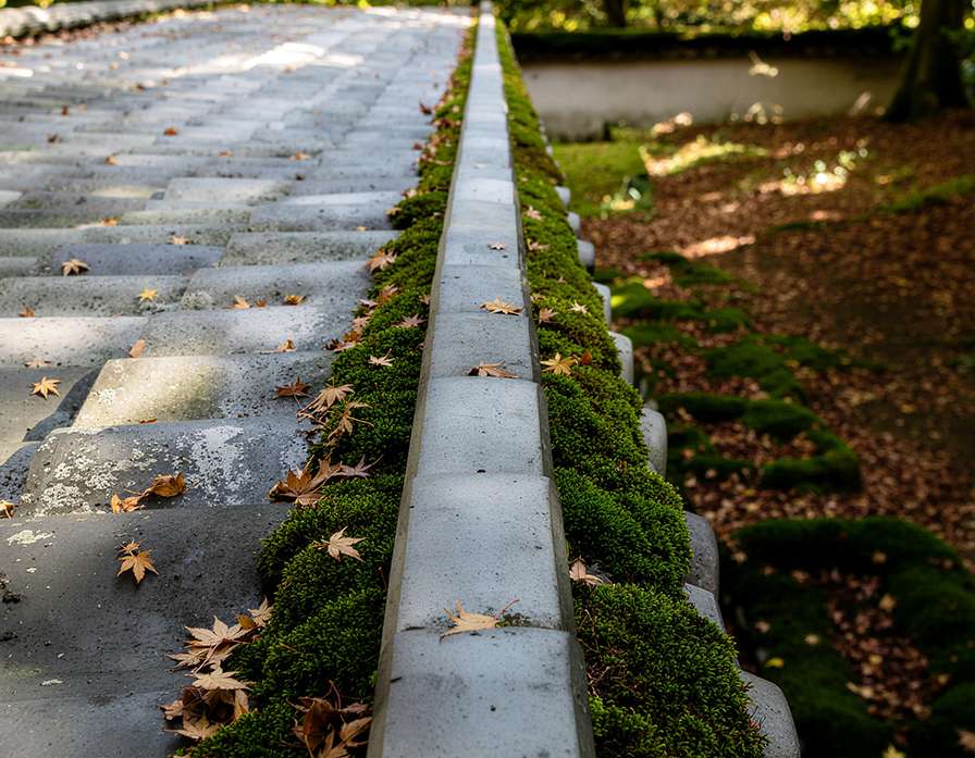 toiture en automne